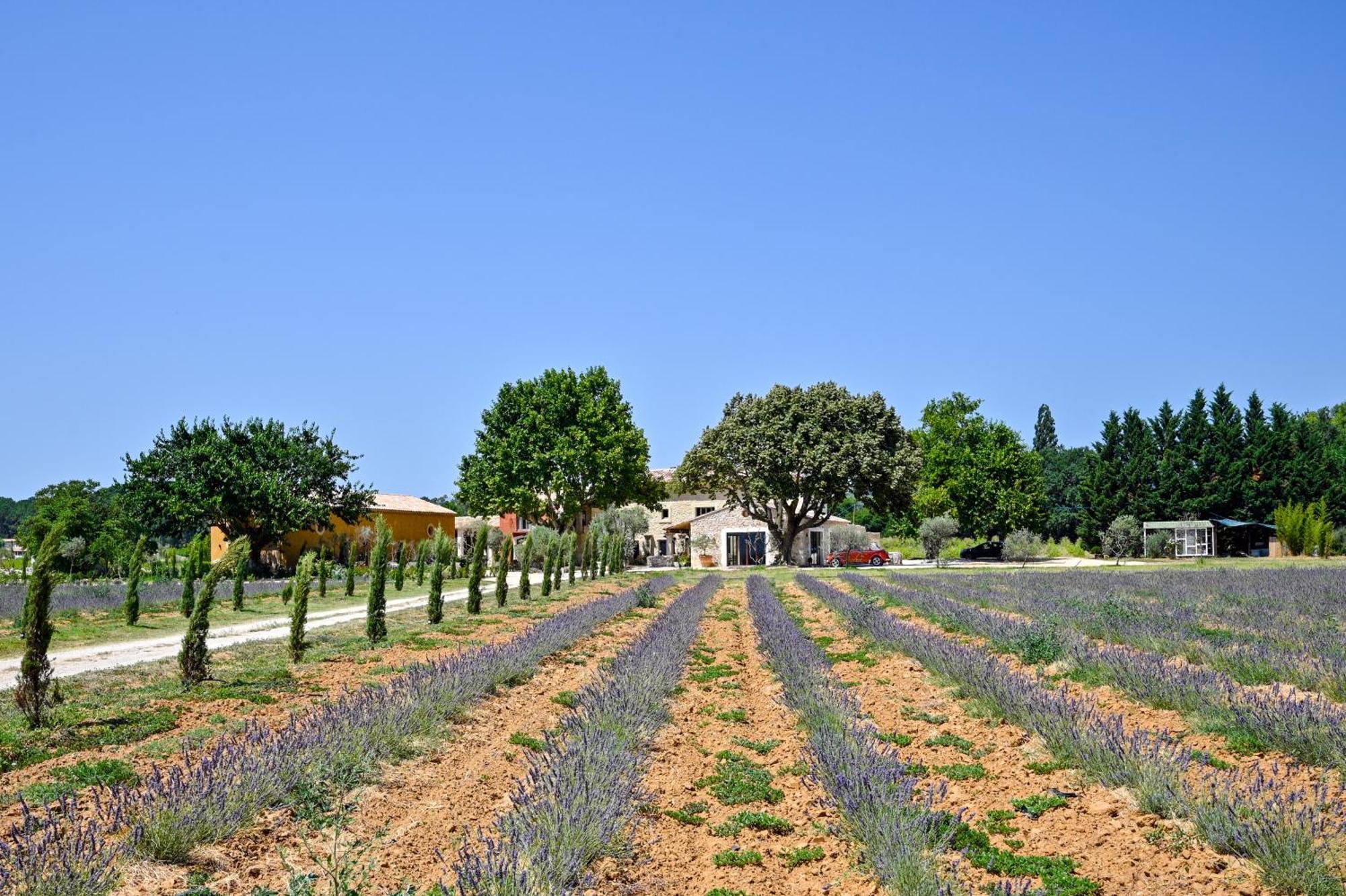 Domaine D'Egenia Villa Roussillon en Isere Buitenkant foto