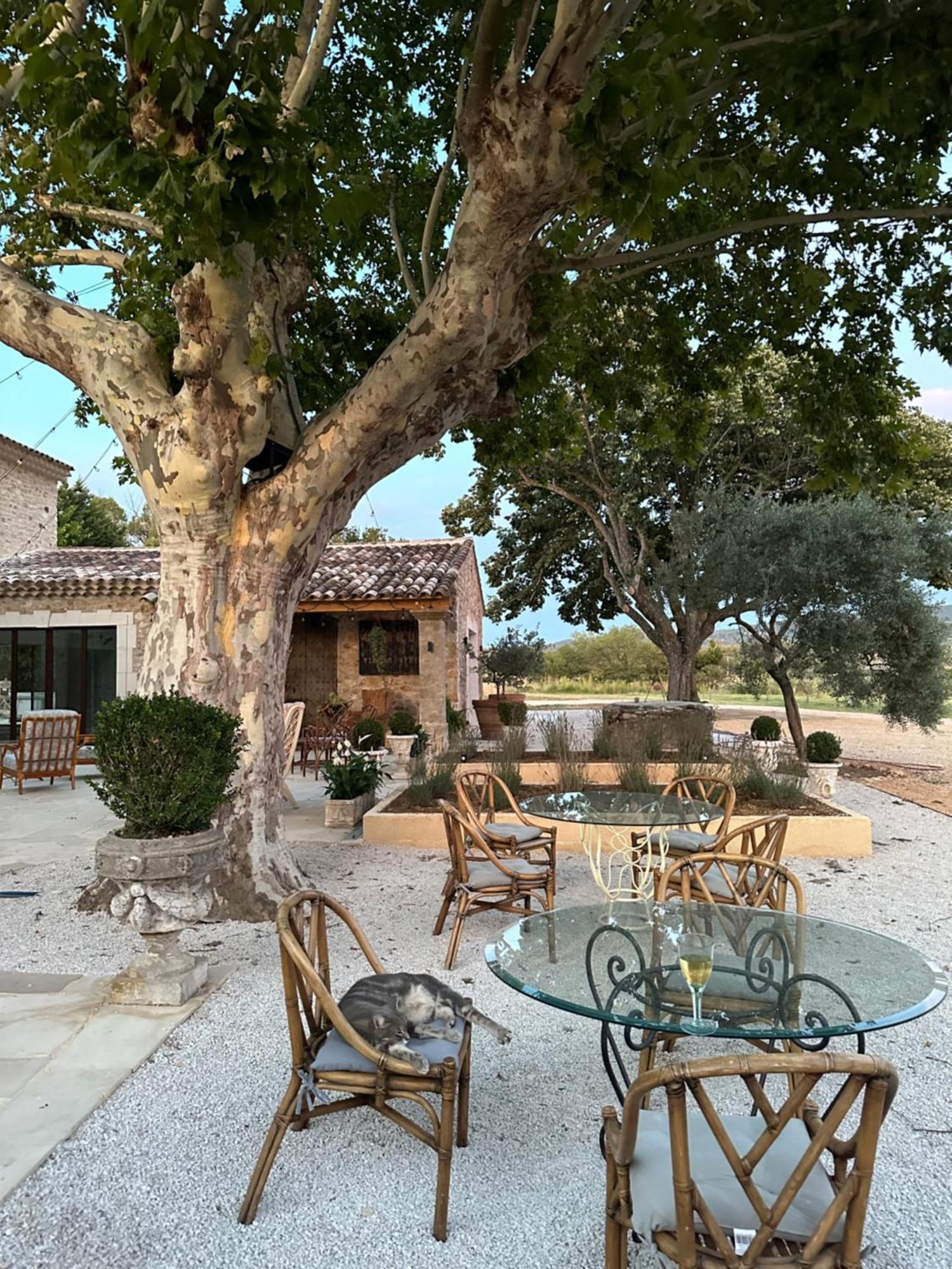 Domaine D'Egenia Villa Roussillon en Isere Buitenkant foto